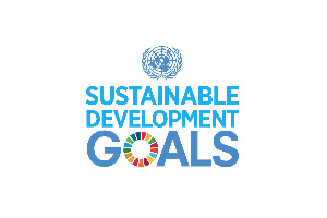 UN SDGs Logo