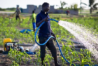 The economist believes focusing on agriculture will create more jobs and improve the economy