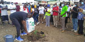 The Church of Pentecost started planting 500 seedlings in the first phase.,