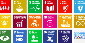 Sustainable Development Goals (SDGs)