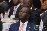 Papa Kwesi Nduom is a business consultant and politician