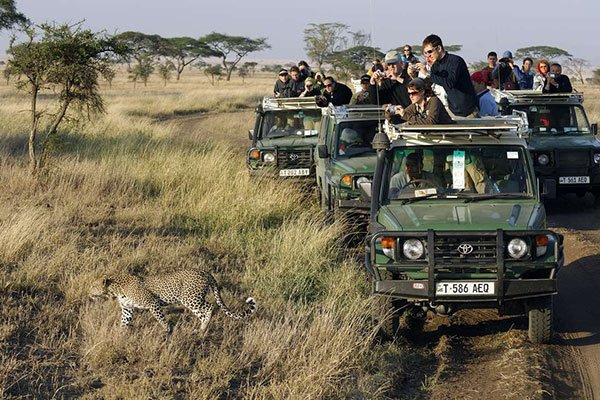 Tourists in Tanzania