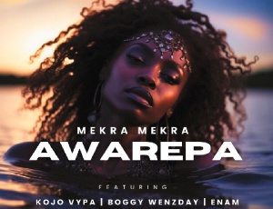 Cover art of Awarepa