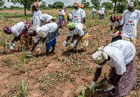 Farmers schooled on fertilizer application