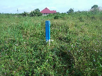 Forest reserve around the Barekese Dam