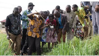 The team took participants through how to implement and monitor larvae source management