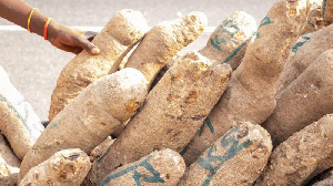 Some tubers of yam