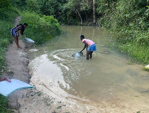 Lady  Fetches  Water435