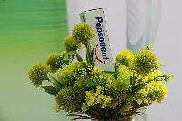 Pepsodent Herbal