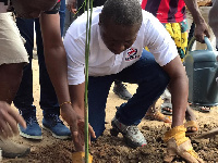 Alexander Afenyo-Markin planting