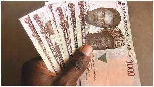 Naira Notes24