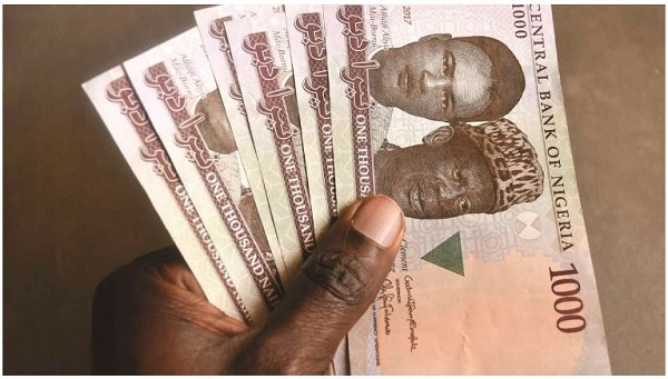 Nigerian Naira notes