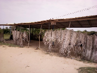 The classroom shed of pupils within the South Tongu District