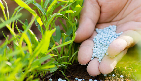 Fertilizer at display