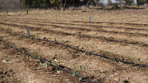 Farms will be irrigated all-year with the coming in force of the policy