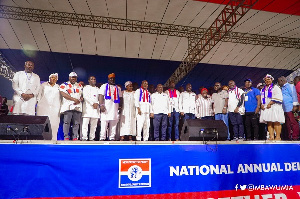 NPP Executive Elect