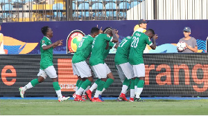 Madagascar celebrates a goal