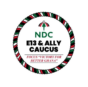 The logo of NDC's E13 and ally caucus