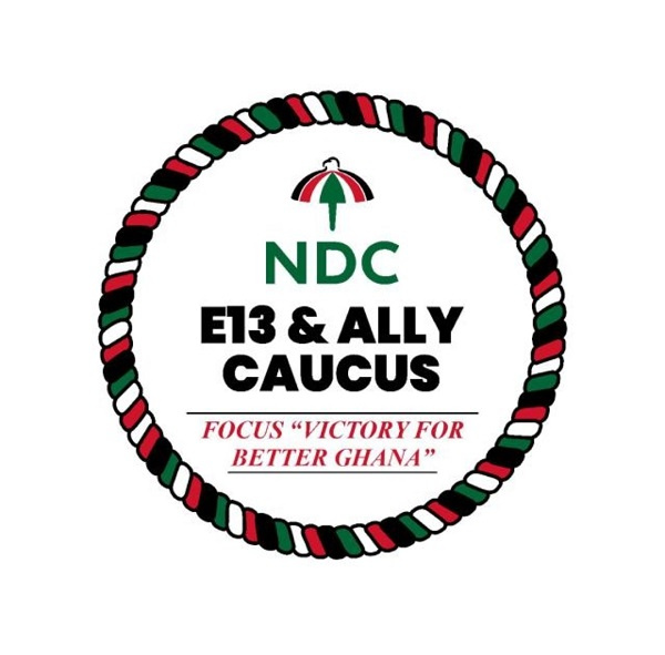 The NDC's E13  and ally caucus