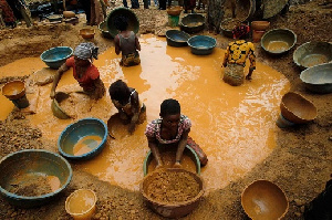 Galamsey Cocoa Farm