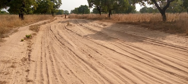 The chief of the community, Suleiman Nayi said the bad nature of the road is affecting livelihood