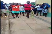 Students captured jubilating after they killed a snake