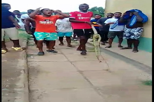 Students captured jubilating after they killed a snake