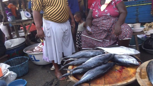 Some fishmongers are worried about low patronage of fish in the market