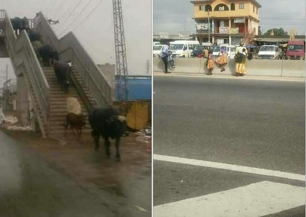 Lawless usage of an overhead bridge and wrong crossing of the street by residents