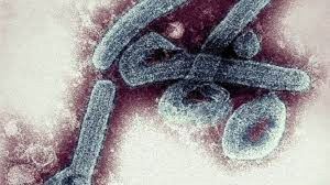 Marburg Virus Disease recorded in Ashanti Region (Photo credit BBC)