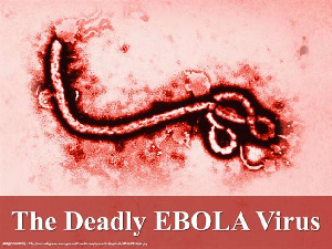 Ebola Virus Study