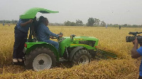 President Mahama in a rice farm