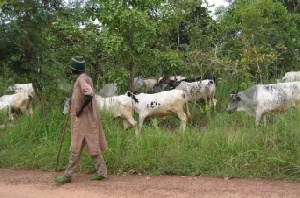 Fulani Herdsmen