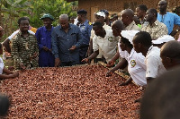 Dr Opuni with President Mahama when they visited some cocoa farming areas