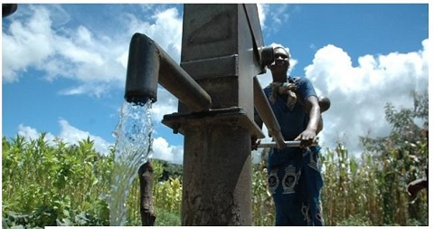 File Photo: A woman fetching water from a borehole