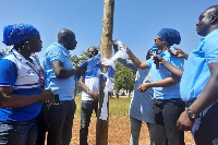 The Old Students inaugurating the street light