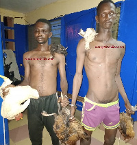 The two suspects are said to be Fulani indigenes, Sulley Amadu aged 25, and Karim Salifu aged 35