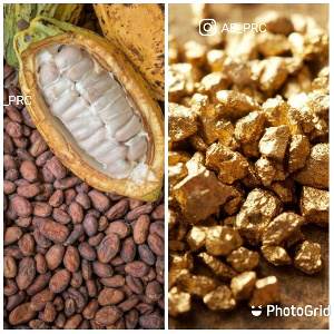 Cocoa beans and gold in a photo collage