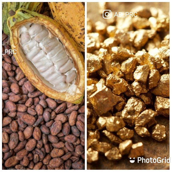 Cocoa beans and gold in a photo collage