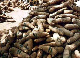 Yam Tuber