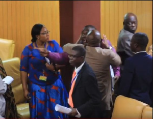 Parliament Fight1