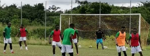 Zimbabwe Training Ghana.png