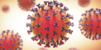 File Photo: Coronavirus