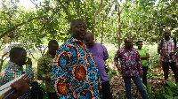 Francis Akwasi Opoku with some officials of COCOBOD during a tour of some cocoa farms