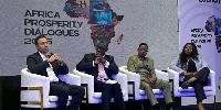 Panel for the Africa Prosperity Dialogue 2025