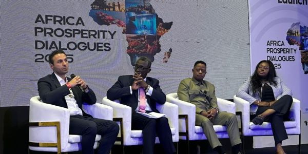 Panel for the Africa Prosperity Dialogue 2025