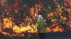 Bushfires