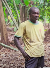 Opanin Akwasi Agyemang, the farmer