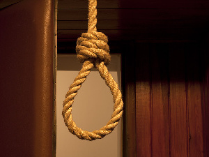 Noose Rope Hanged Suicide 