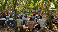 Cocoa farmers